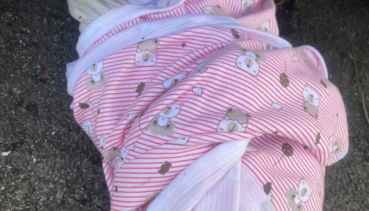 A baby was found dumped in the parking lot of Putra Ria Apartment in Pantai Dalam