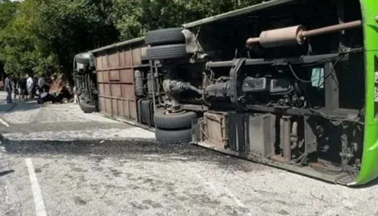 Genting Highlands bus driver tour has no licence and has 27 traffic violations, say cops 