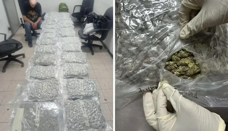 Malaysians arrested in Maldives for attempting to smuggle RM3.7 Million worth of cannabis