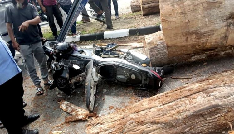 A woman was badly injured after being struck by logs in Gua Musang