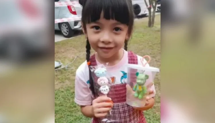 Talian Kasih joins efforts to locate missing six-year-old girl in Johor