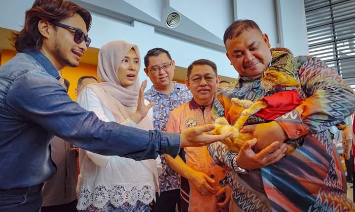 Madani cat carnival becomes a platform for uniting the people, says Wan Azizah