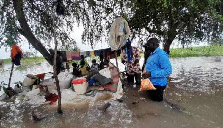 A United Nations organization reports that the health system is being overburdened by an increase in malaria in multiple states.