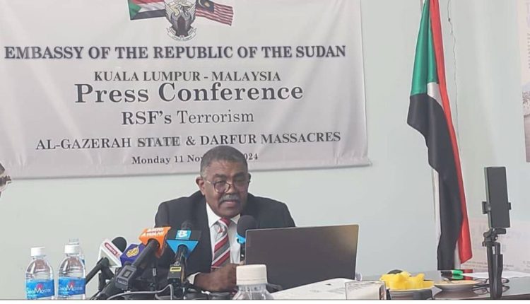 The Human Cost of Ethnic Violence and Humanitarian Crisis in Sudan's Al-Jazirah and Al-Butana