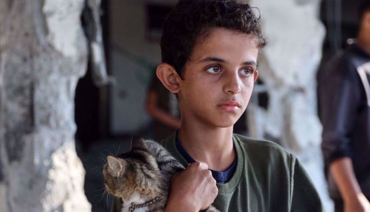 A Palestinian boy holds a kitten at a UN school-turned-shelter following an Israeli strike on the building in the Al-Shati refugee camp in the Gaza Strip on November 7, 2024. (Photo by AFP)