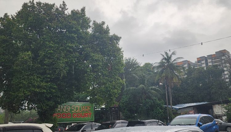 Thunderstorms, heavy rain and strong winds have been forecast for most parts of Malaysia, including Selangor and Kuala Lumpur.