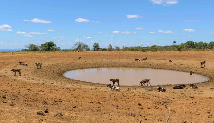 The world is increasingly threatened by drought.